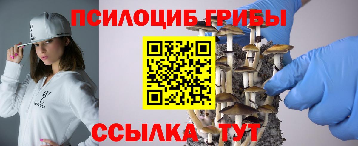 Галлюциногенные грибы прущие грибы  Вход с VPN  Псилоцибиновые грибы Cubensis  Миллерово 